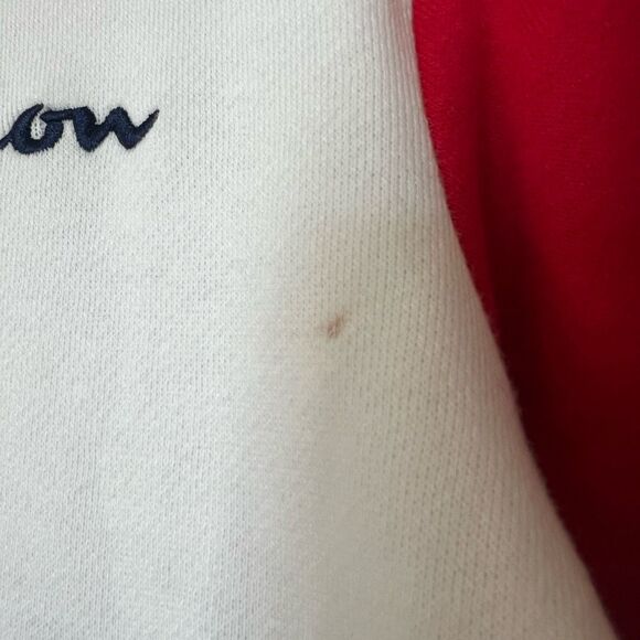 NWT Champion Boys Color Blocked Script Hoodie 2T - Picture 3 of 6